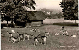 Langenthal - Hirsch-Park (7295) * 3. 6. 1957 - Langenthal