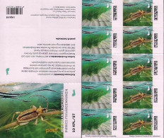 FINLANDIA /FINLAND /FINNLAND /FINLANDIE - EUROPA-CEPT 2024 -"UNDERWATER FLORA And FAUNA".- BOOKLET Of The 5 SETS Adh. - 2024