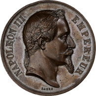 France, Médaille, Napoléon III, Concours Agricole De Tulle, 1864, Cuivre - Altri & Non Classificati