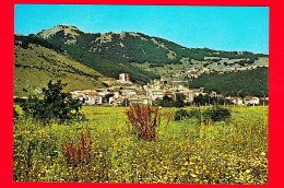 ITALIA - Abruzzo - Cartolina Viaggiata Nel 1980 - Roccaraso (L'Aquila) - Panorama M. 1250 - Other & Unclassified