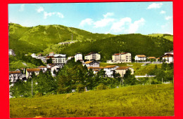 ITALIA - Abruzzo - Cartolina Viaggiata Nel 60 - Roccaraso (L'Aquila) - Scorcio Panoramico - Andere & Zonder Classificatie