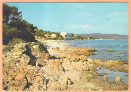 Ppgf/ CPSM - CORSE DU SUD - PINARELLO - LA PLAGE - Vue Peu Courante - Other & Unclassified