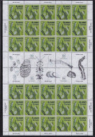 ALAND /ALAND ISLANDS /ÅLAND FINLAND - EUROPA-CEPT 2024 -"UNDERWATER FLORA And FAUNA".- FULL SHEET Of The 30 STAMPS MINT - 2024