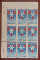 France  Bloc De 9 Timbres Neuf** YV N° 1520 Jeux Olympiques à Grenoble - Nuevos