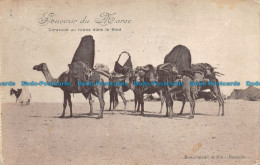 R132021 Souvenir Du Maroc. Caravane Au Repos Dans Le Bled. H. Grimaud. B. Hopkin - Mundo