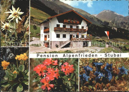 72113885 Neustift Stubaital Tirol Pension Alpenfrieden Alpenflora Neustift Im St - Autres & Non Classés