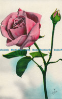 R132105 Old Postcard. Pink Rose. Cecami - World