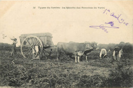  Travaux Agricoles , Types Du Centre , La Rentrée Des Pommes De Terre, * 525 64 - Attelages