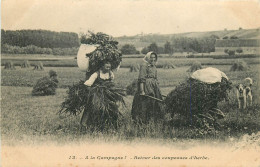  Travaux Agricoles , A La Campagne , Retour Des Coupeuses D’herbe , * 525 60 - Spannen