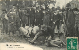 87 , En Limousin  , A La Foire , Le Langueyeur , * 525 51 - Autres & Non Classés