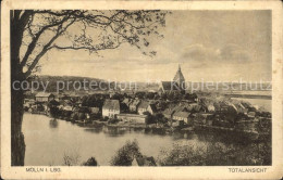 72113600 Moelln Lauenburg Totalansicht Naturpark Lauenburgische Seen Moelln - Moelln