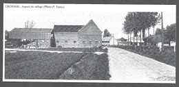 1980  --  BELGIQUE . GROSAGE . VUE DU VILLAGE . 4B206 - Non Classés