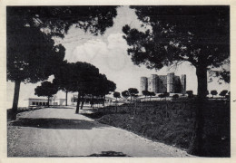 CARTOLINA  C17 ANDRIA M.540,PUGLIA-CASTEL DEL MONTE-LA "TAVERNA" E UN ANGOLO DI PARADISO NASCOSTO-VIAGGIATA 1956 - Andria