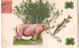 Carte En Relief - Chromo - Souvenir D'Amitié - Cochon Et Poisson - Schweine