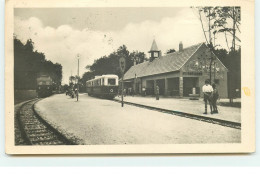 BUDAPEST - Üttörövasut - Széchenyi-hegyi Allomas - Bahnhof - Hongarije