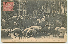LILLEBONNE - Le Marché Aux Bestiaux, Embarquement Des Porcs - Lillebonne