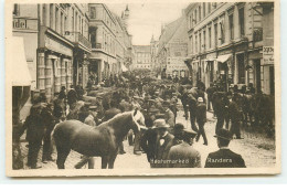 Danemark - Hestemarked Randers - Chevaux - Denmark