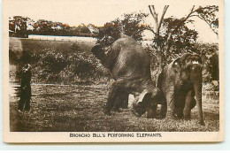 Cirque - Broncho Bill's Performing Elephants - Circus