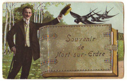 Carte à Système - Souvenir De NORT-SUR-ERDRE - Homme Saluant, Et Des Hirondelles - Nort Sur Erdre