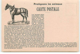 Cheval - Les Fausses Rênes - Société Protectrice Des Animaux - Lausanne - Horses