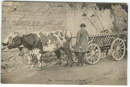 L'Auvergne - Gens De Chez Nous N°8011 - Au Revoir - Attelage De Boeufs - Auvergne