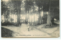 NEUFCHATEL EN BRAY - Les Promenades Du Château - Neufchâtel En Bray