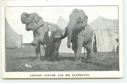 Cirque - Captain Taylor And His Elephants - Cirque