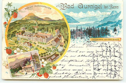 Suisse - Bad Gurnigel Bei Bern - Panorama Vom BELLEVUE - Bad-und Kuranstalten - Berne