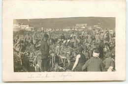 Carte Photo - Serbie - NEGOTIN - Le Marché - Serbien