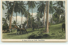 Seychelles - A Farm At Ile Aux Cerfs - Seychelles