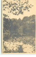 Photo - AVESSAC - Etang De La Chataigneraie - Format 9 X 14 Cm - Other & Unclassified