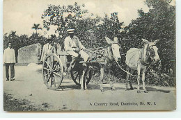 DOMINIQUE - Dominica - A Country Road - Dominica