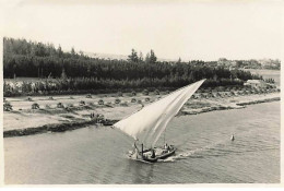 Egypte - Photo 14,3*9 Cm - Curieux Voilier Sur Le Canal De Suez - 1936 - Other & Unclassified