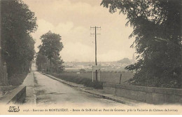 Environs De MONTHLERY - Route De St-Michel Au Pont De Gouteau, Près La Vacherie Du Château De Lormoy - Montlhery