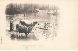 MONTIGNY-SUR-LOING - Le Gué - Lavandière - Autres & Non Classés