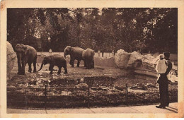 CHARENTON-LE-PONT - Le Zoo - Eléphants - Other & Unclassified