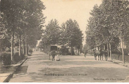 SAINT-FARGEAU - Les Deux Avenues - Saint Fargeau