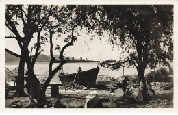 Martinique - FORT-DE-FRANCE - Milon - Vue Sur La Baie - Barque, Et Filets De Pêche - Fort De France