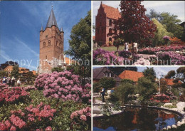 72113180 Westerstede Rhododendron Festtage Westerstede - Westerstede