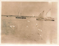 Photo - Myanmar - Rivière à RANGOON Barques  - 1937 - Format 11 X 8,5 Cm - Myanmar (Birma)