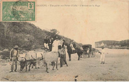 Guadeloupe - Une Partie Aux Portes D'Enfer - L'Arrivée Sur La Plage - Altri & Non Classificati