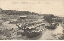 Guadeloupe - PETIT-BOURG - Embarquement De La Canne Dans Les Chalands - Andere & Zonder Classificatie