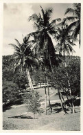 Indonésie - SABANG - Photo 14,5*9,2 Cm - Intérieur De L'Ile De Weh - Indonesia