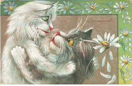 Illustrateur - M. Boulanger - Passionnément - Chats, Un Effeuillant Une Marguerite - Other & Unclassified