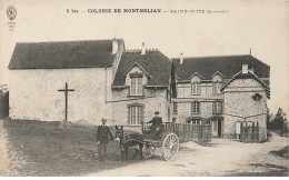 SAINT-WITZ - Colonie De Montmelian - Calèche Tiré Par Un âne - Saint-Witz