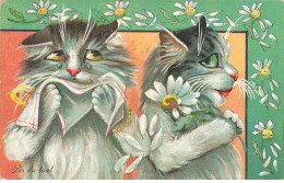 Illustrateur - M. Boulanger - Pas Du Tout - Chats, Un Effeuillant Une Marguerite - Other & Unclassified