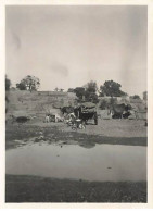 Photo - Elephanta - Porte D'Aurangabad - Format 8,5 X 11 Cm - Indien