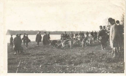 Photo - Chasse à Courre Dans Les Yvelines - Haizettes - La Meute Et Les Sonneurs Près D'un étang - Jacht