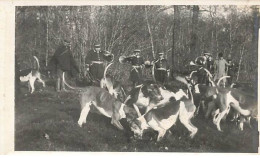 Photo - Chasse à Courre Dans Les Yvelines - Les Sonneurs De Cor Et La Meute - Hunting