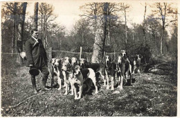 Photo - Chasse à Courre Dans Les Yvelines - Un Chasseur Près D'une Meute - Chiens De Charles - Chasse